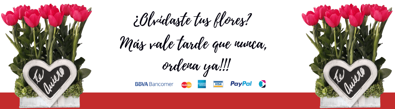 Banner de la tienda